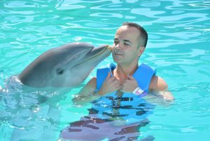 Dolphin love 6