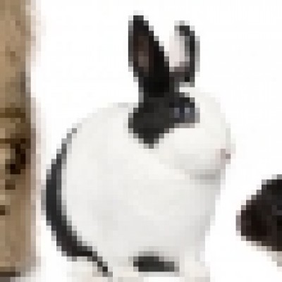 Group logo of Rabbits